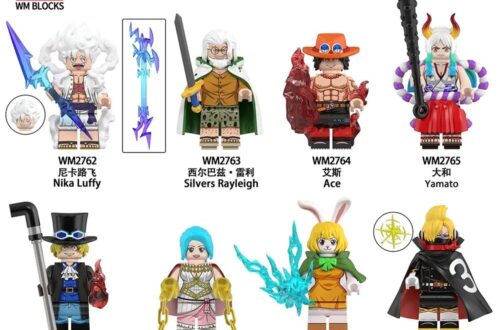 WM Minifigure WM6189 One Piece Series Review
